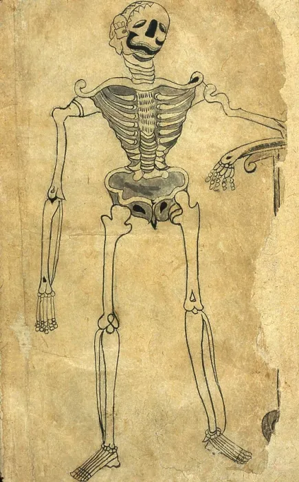 Framed Print : Akbar's Medicine, Persian Anatomical Skeleton Framed Print : Akbar's Medicine, Persian Anatomical Skeleton
