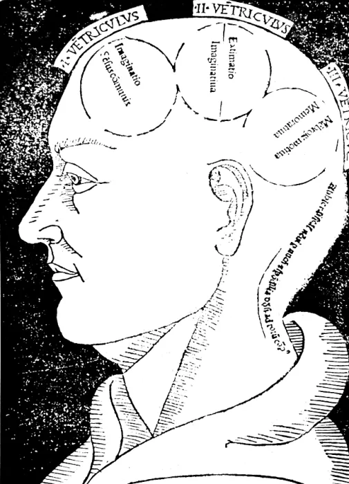 Framed Print : Albertus Magnus, Brain Functions Framed Print : Albertus Magnus, Brain Functions