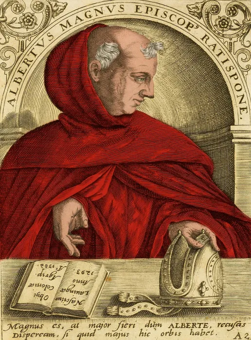 Framed Print : Albertus Magnus, Medieval Philosopher