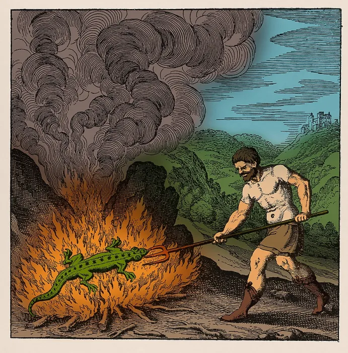 Framed Print : Alchemist Roasting Salamander, 18th Century Framed Print : Alchemist Roasting Salamander, 18th Century