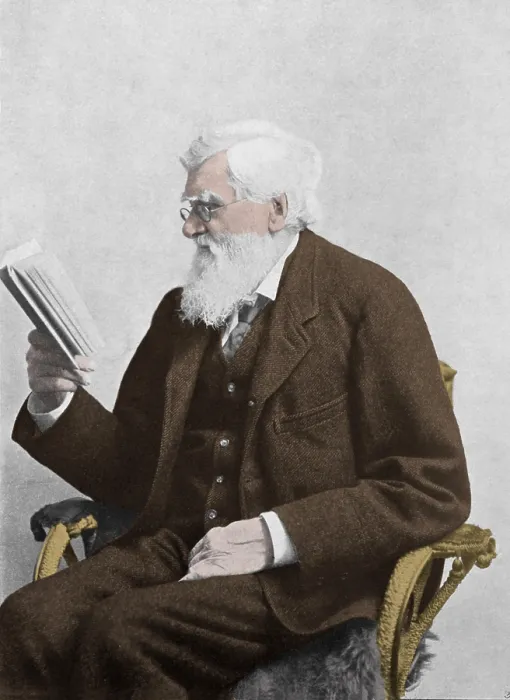Framed Print : Alfred Russel Wallace, Welsh Naturalist Framed Print : Alfred Russel Wallace, Welsh Naturalist