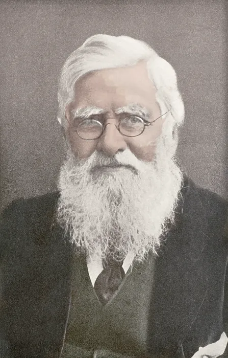 Framed Print : Alfred Russel Wallace, Welsh Naturalist Framed Print : Alfred Russel Wallace, Welsh Naturalist