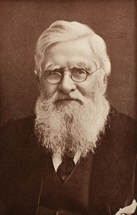 Framed Print : Alfred Russel Wallace, Welsh Naturalist Framed Print : Alfred Russel Wallace, Welsh Naturalist