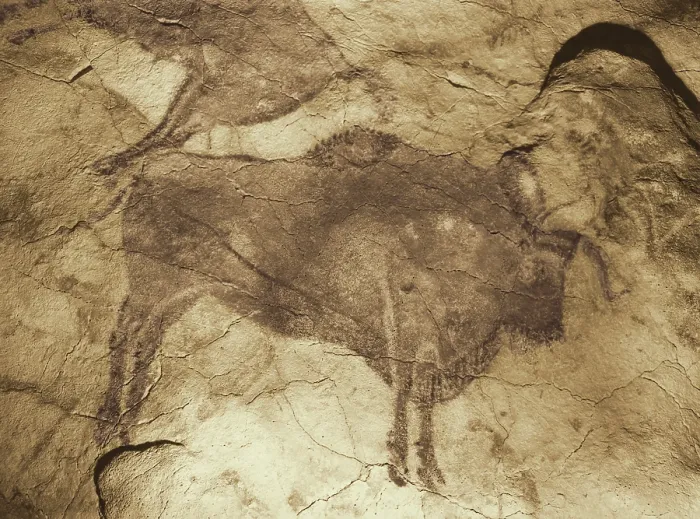 Framed Print : Altamira Cave Paintings