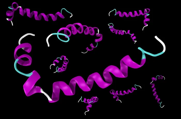 Framed Print : Amyloid beta peptide
