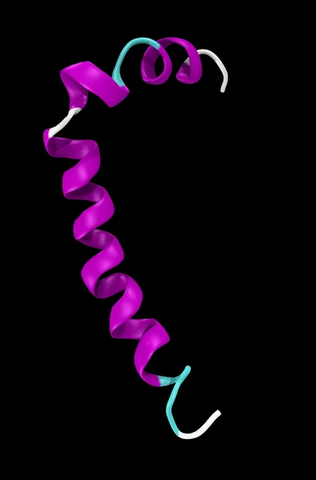 Framed Print : Amyloid beta peptide
