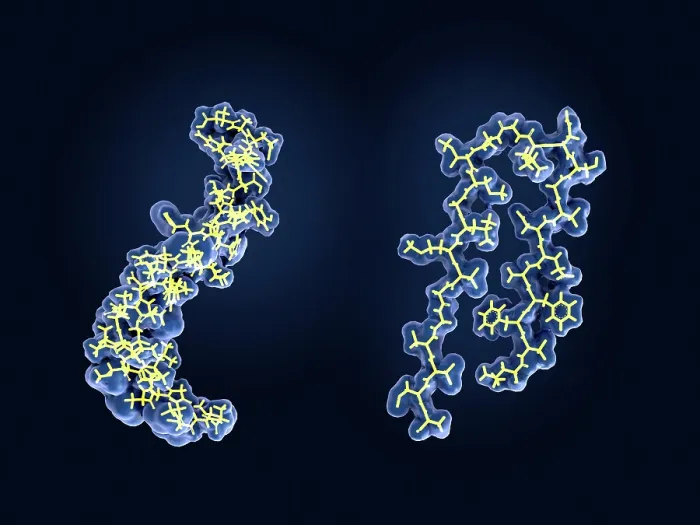 Framed Print : Amyloid beta peptide, model Framed Print : Amyloid beta peptide, model