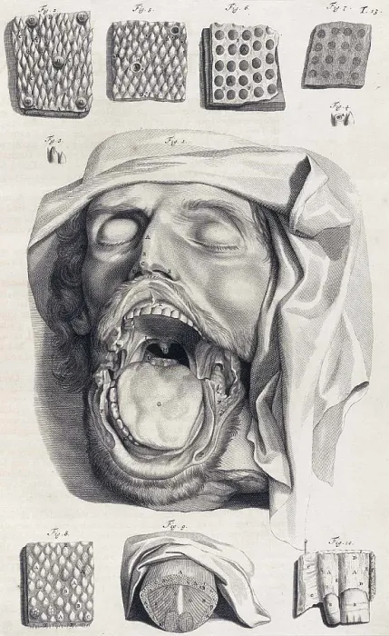 Framed Print : Anatomia humani corporis, Table 13, 1690 Framed Print : Anatomia humani corporis, Table 13, 1690
