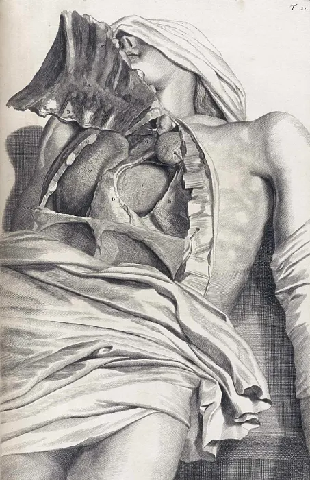 Framed Print : Anatomia humani corporis, Table 21, 1690 Framed Print : Anatomia humani corporis, Table 21, 1690