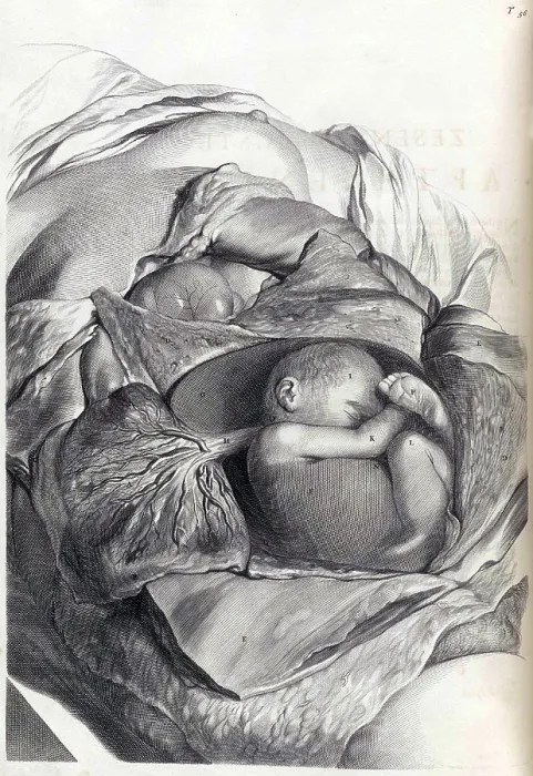 Framed Print : Anatomia humani corporis, Table 56, 1690