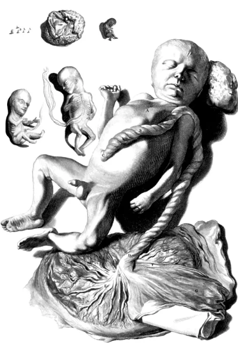 Framed Print : Anatomia humani corporis, Table 57, 1690 Framed Print : Anatomia humani corporis, Table 57, 1690
