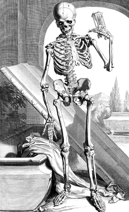 Framed Print : Anatomia humani corporis, Table 87, 1690 Framed Print : Anatomia humani corporis, Table 87, 1690