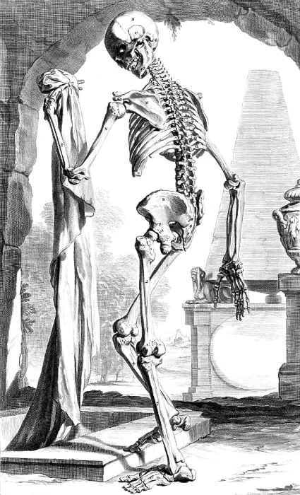 Framed Print : Anatomia humani corporis, Table 88, 1690 Framed Print : Anatomia humani corporis, Table 88, 1690