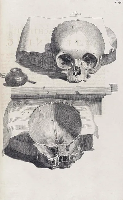 Framed Print : Anatomia humani corporis, Table 89, 1690 Framed Print : Anatomia humani corporis, Table 89, 1690