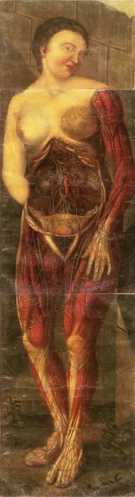 Framed Print : Anatomie Generale Des Visceres Framed Print : Anatomie Generale Des Visceres