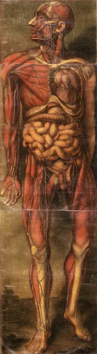 Framed Print : Anatomie Generale Des Visceres Framed Print : Anatomie Generale Des Visceres