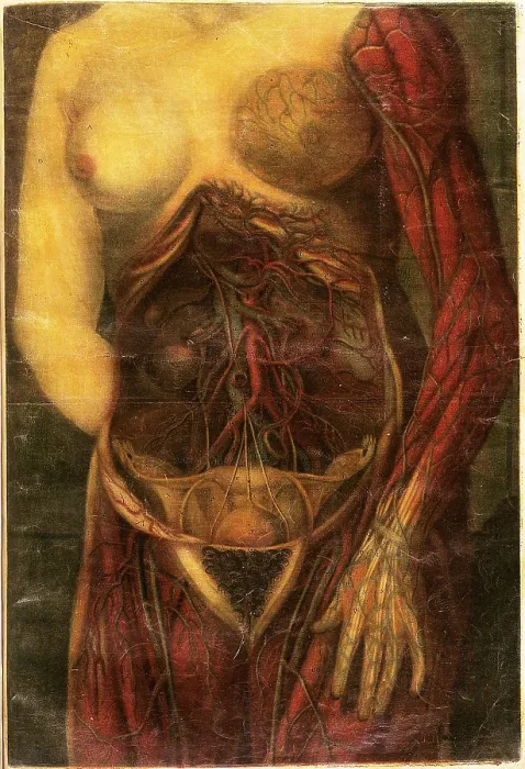 Framed Print : Anatomie Generale Des Visceres