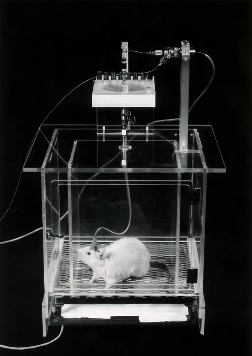 Framed Print : Animal Testing, Involuntary Response Conditioning