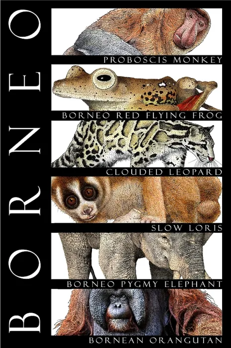 Framed Print : Animals of Borneo, Poster Framed Print : Animals of Borneo, Poster