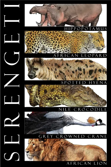 Framed Print : Animals of the Serengeti, Poster Framed Print : Animals of the Serengeti, Poster