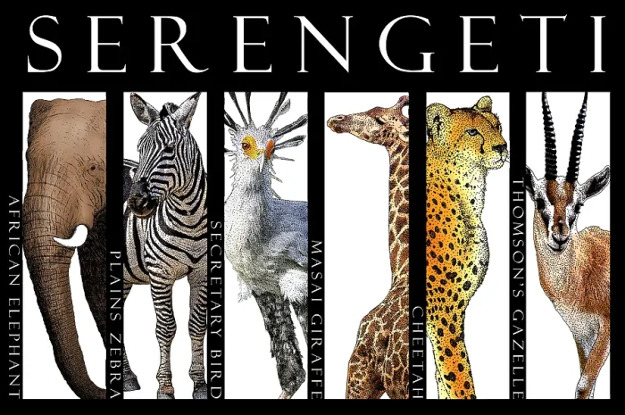 Framed Print : Animals of the Serengeti, Poster