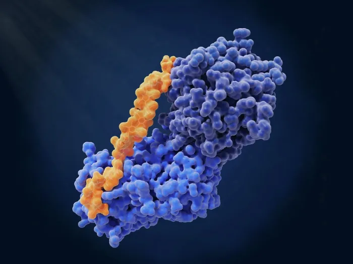Framed Print : Anti-thrombosis: complex between heparin, antithrombin and thrombin Framed Print : Anti-thrombosis: complex between heparin, antithrombin and thrombin