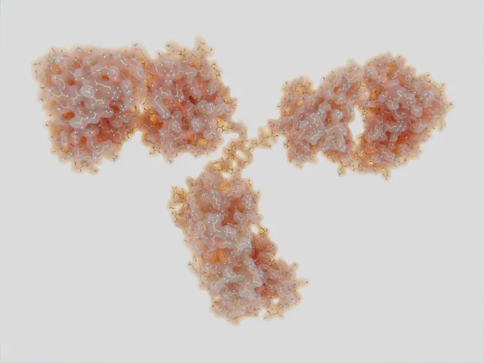 Framed Print : Antibody Molecule Framed Print : Antibody Molecule