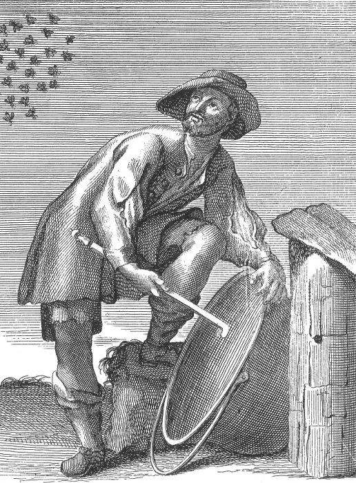 Framed Print : Apiculture, Beekeeper Beckons Swarm Back to Hive