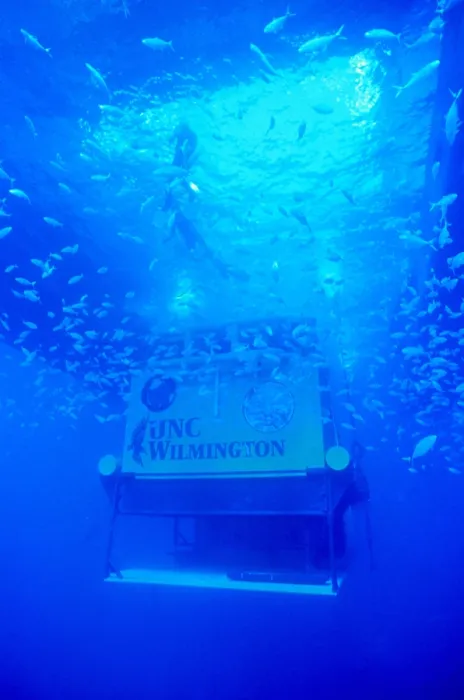 Framed Print : Aquarius Underwater Ocean Laboratory Framed Print : Aquarius Underwater Ocean Laboratory