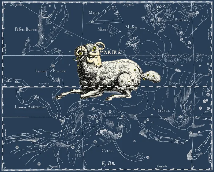 Framed Print : Aries Constellation, 1687 Framed Print : Aries Constellation, 1687