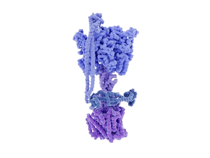 Framed Print : ATP synthase, 3D illustration Framed Print : ATP synthase, 3D illustration