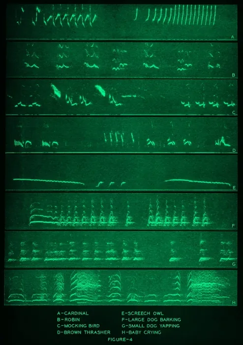 Framed Print : Audio Spectrograms Framed Print : Audio Spectrograms