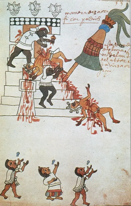 Framed Print : Aztec Human Sacrifice, Codex Tudela, 16th Century Framed Print : Aztec Human Sacrifice, Codex Tudela, 16th Century