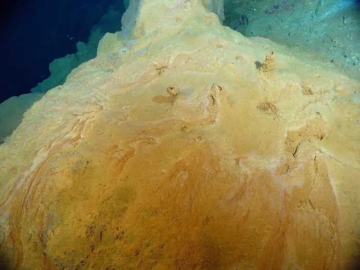 Framed Print : Bacterial Mat at Hydrothermal Vent