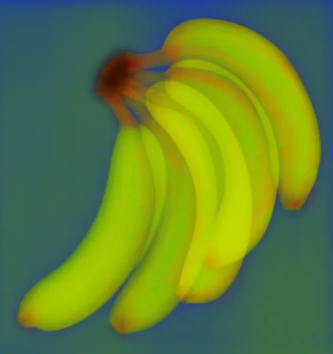 Framed Print : Bananas, X-ray Framed Print : Bananas, X-ray