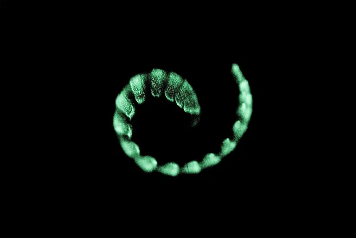Framed Print : Bioluminescent millipede Framed Print : Bioluminescent millipede