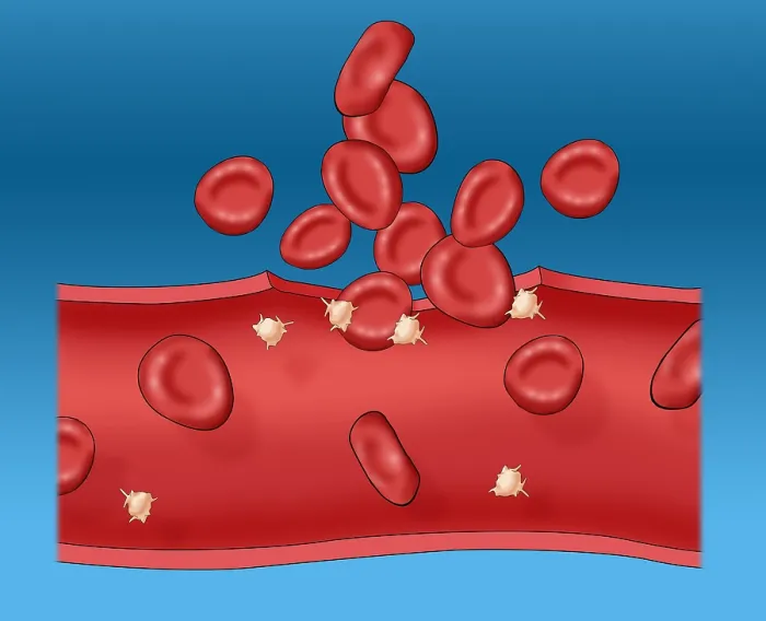 Framed Print : Blood clot