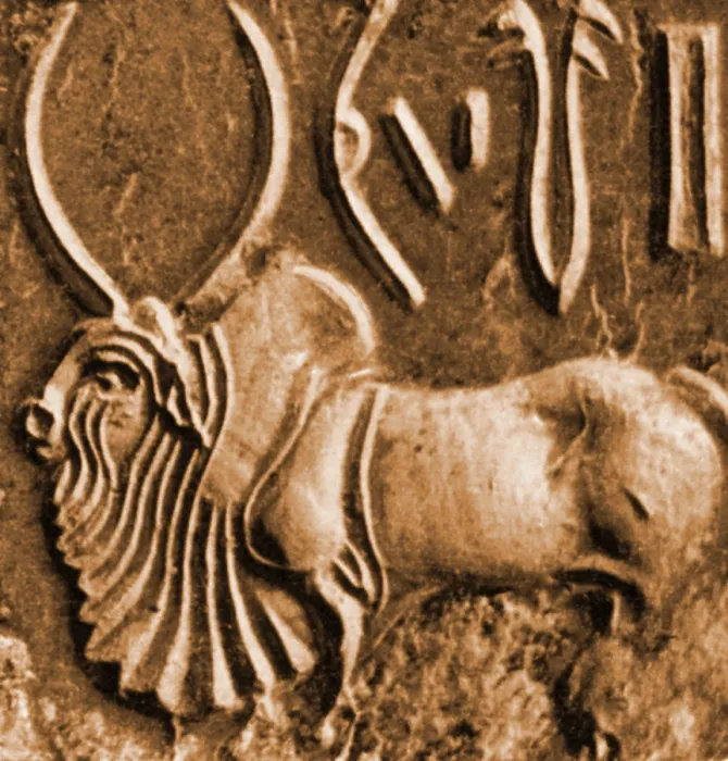 Framed Print : Brahman Bull on Ancient Seal Framed Print : Brahman Bull on Ancient Seal