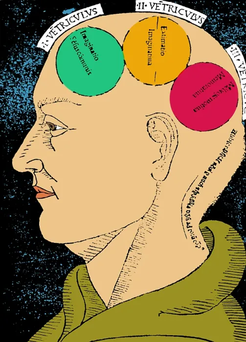Framed Print : Brain Functions, Albertus Magnus Woodcut Framed Print : Brain Functions, Albertus Magnus Woodcut