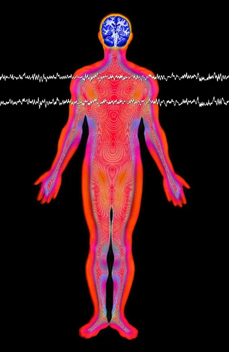Framed Print : Brainwave illustration Framed Print : Brainwave illustration
