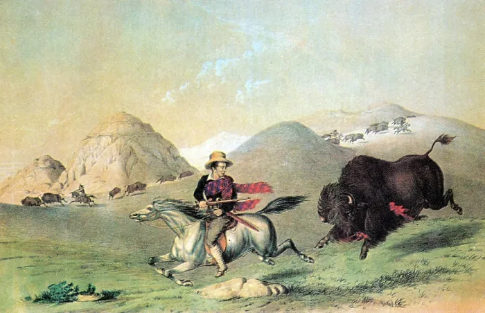 Framed Print : Buffalo Bull Chasing Back, 19th Century