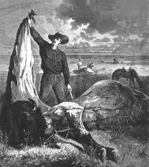 Framed Print : Buffalo Skinner, 1874 Framed Print : Buffalo Skinner, 1874
