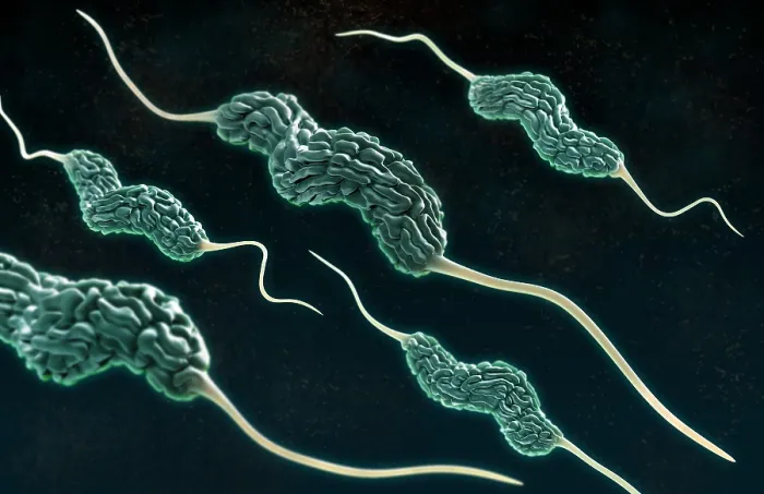 Framed Print : Campylobacter Bacteria, 3D Model Framed Print : Campylobacter Bacteria, 3D Model