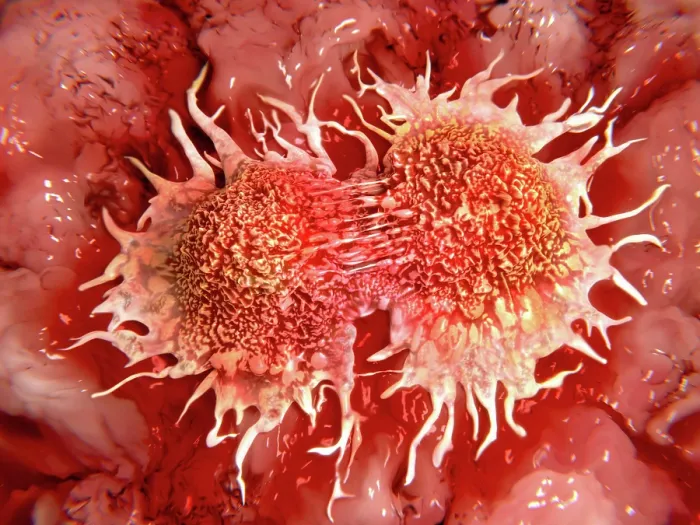 Framed Print : Cancer cells dividing, artwork Framed Print : Cancer cells dividing, artwork