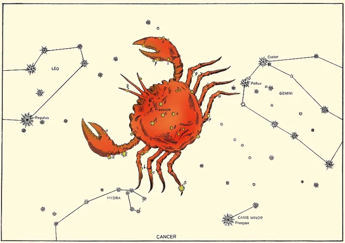 Framed Print : Cancer Constellation, 1603 Framed Print : Cancer Constellation, 1603
