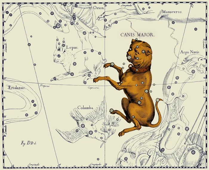 Framed Print : Canis Major Constellation, 1687