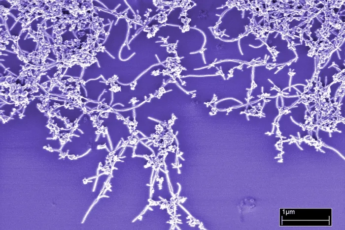Framed Print : Carbon Nanotubes Framed Print : Carbon Nanotubes