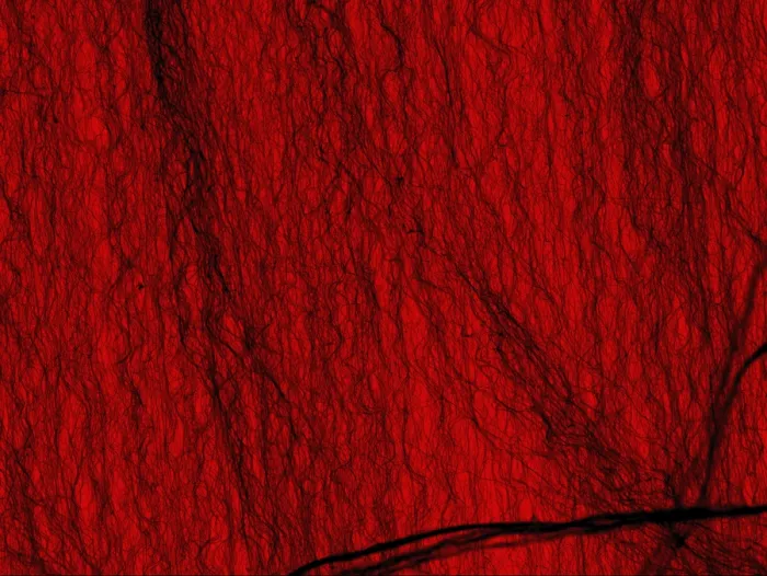 Framed Print : Carbon Nanotubes Framed Print : Carbon Nanotubes