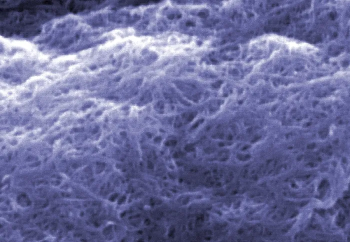 Framed Print : Carbon Nanotubes, under a microscope (SEM) Framed Print : Carbon Nanotubes, under a microscope (SEM)
