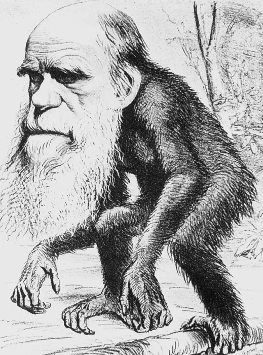 Framed Print : Caricature of Charles Darwin, 1871